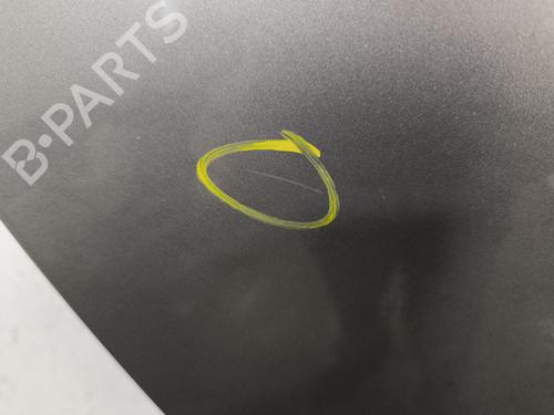 Right rear door RENAULT SCÉNIC III (JZ0/1_) 1.5 dCi | BP29869057C5 