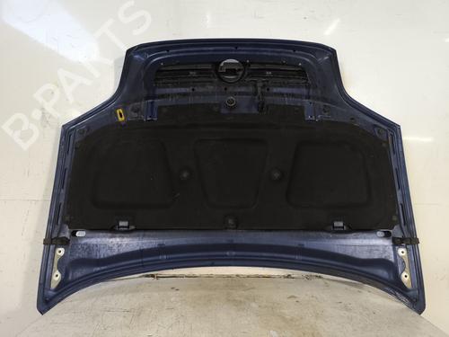 Used Hood Hood 23970261 23970261