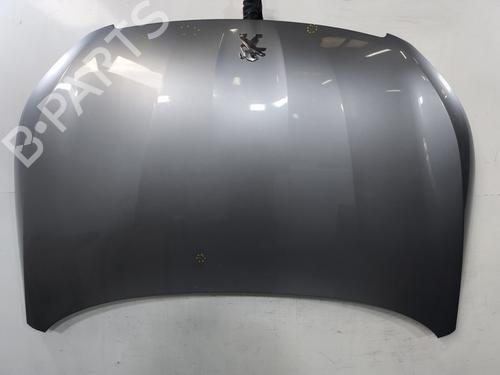 Used Hood Hood 38423220 38423220