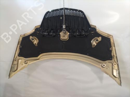 Hood LANCIA PHEDRA (179_) 2.0 JTD (179.AXH1B, 179.BXH1B) | BP28824249C1 