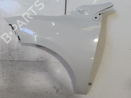 Used Left front fenders RENAULT MEGANE III Hatchback (BZ0/1_, B3_) 1.9 dCi (BZ0N, BZ0J) (131 hp) 25758097