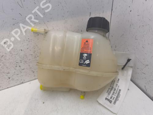 Used Expansion tank RENAULT KADJAR (HA_, HL_) 1.6 dCi 130 (HLA4) (130 hp) 28064996
