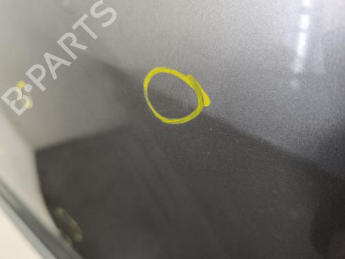 Right rear door RENAULT SCÉNIC III (JZ0/1_) 1.5 dCi | BP29869057C5 