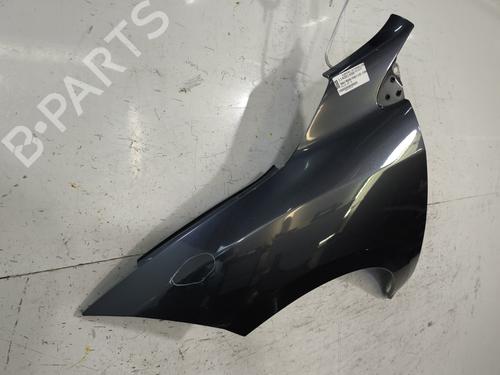 Left front fenders RENAULT MEGANE III Hatchback (BZ0/1_, B3_) 1.5 dCi (BZ09, BZ0D, BZ1W, BZ29, BZ14) | BP30162399C41 