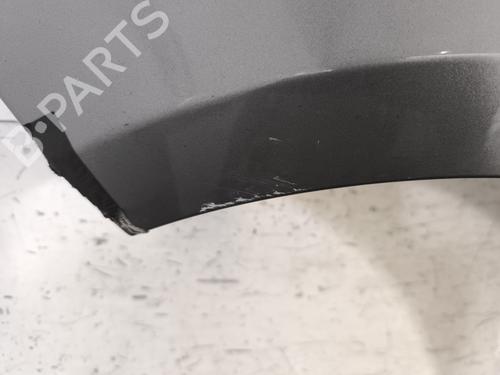 Left front fenders RENAULT CLIO III (BR0/1, CR0/1) 1.5 dCi (C/BR0G, C/BR1G) | BP28369999C41 