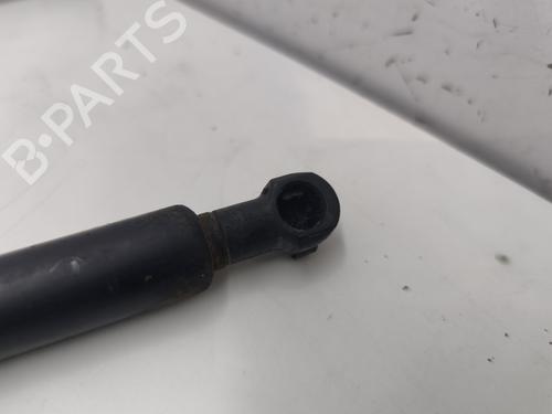 Hood lift support PEUGEOT 306 Hatchback (7A, 7C, N3, N5) 2.0 HDI 90 | BP25996890C139 