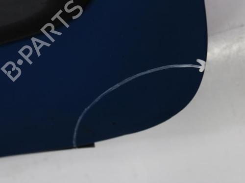 Right front door RENAULT KANGOO Express (FC0/1_) D 65 1.9 (FC0E, FC02, FC0J, FC0N) | BP29561888C3 