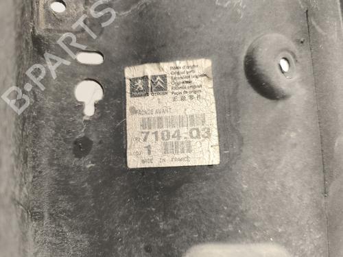 Frontblech PEUGEOT 206 Hatchback (2A/C) 1.4 HDi eco 70 | BP29598694C72 