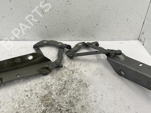 Hinge/Door check strap LAND ROVER RANGE ROVER EVOQUE (L538) 2.2 D 4x4 | BP25374619C146 