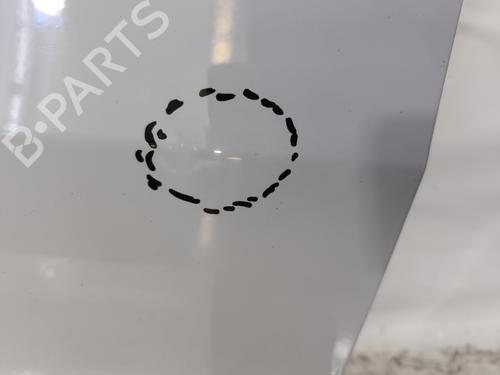 Left front door RENAULT TRAFIC III Van (FG_) 1.6 dCi 140 (FGMA, FGMC) | BP29439148C2 
