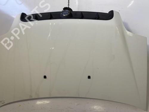 Hood FIAT DOBLO Box Body/MPV (223_) 1.3 JTD 16V | BP22841159C1 