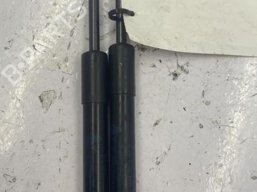Hood lift support RENAULT SCÉNIC IV (J9_) 1.7 Blue dCi 120 (J9A7, J9A8) 654704597R