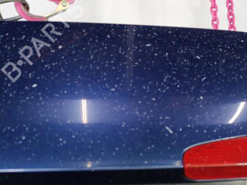 Tailgate RENAULT LAGUNA II Grandtour (KG0/1_) 2.0 16V (KG1Y) | BP22820113C6 