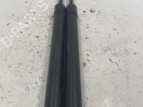 Tailgate lift support PEUGEOT 208 I (CA_, CC_) 1.6 BlueHDi 100 | BP22842153C138