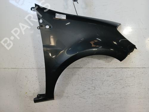 Used Right front fenders RENAULT CLIO III (BR0/1, CR0/1) 1.5 dCi (C/BR0G, C/BR1G) (68 hp) 29700430