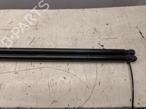Tailgate lift support RENAULT KANGOO III MPV TCe 130 (KJMB) | BP29515753C138 