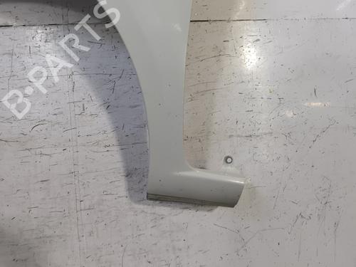 Left front fenders FIAT GRANDE PUNTO (199_) 1.2 | BP27453473C41 