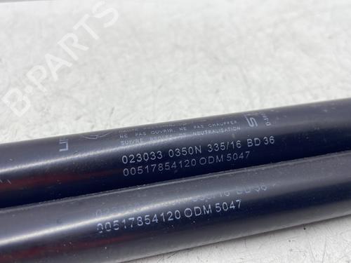 Used Tailgate lift support Tailgate lift support FIAT 500 (312_) 1.2 (312AXA1A) (69 hp) 31695175 31695175