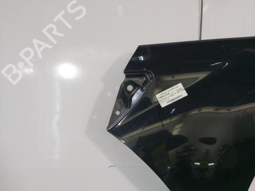 Used Right front fenders MERCEDES-BENZ A-CLASS (W169) A 180 CDI (169.007, 169.307) (109 hp) 22831067