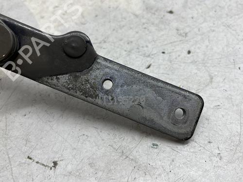 Hinge/Door check strap FIAT 500 C (312_) 1.4 (312CXC1B, 312AXC1B) | BP29598746C146 