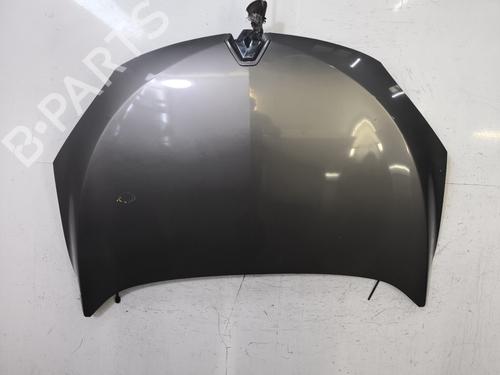 hood-renault-megane-iii-hatchback-bz01_-b3_-2008-34365375 main image
