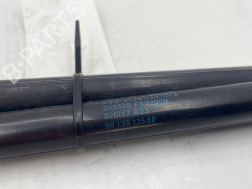 Tailgate lift support CITROËN C4 CACTUS 1.2 VTi 82 | BP31880325C138 - Image 4