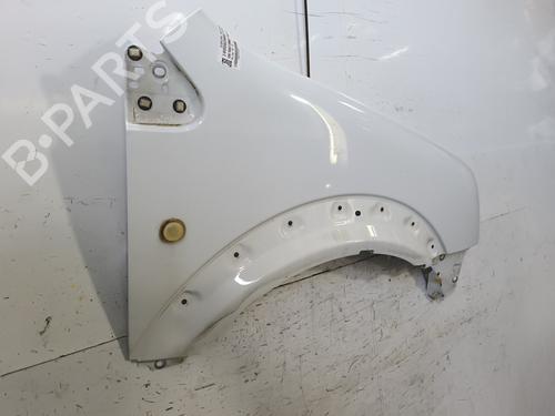 Right front fenders FORD TRANSIT CONNECT (P65_, P70_, P80_) 1.8 TDCi | BP27631674C42 