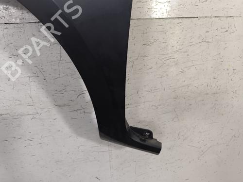 Left front fenders RENAULT CLIO III (BR0/1, CR0/1) 1.5 dCi (BR17, CR17) | BP28679607C41