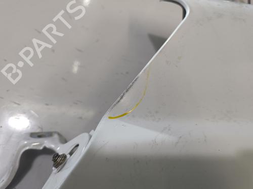 Left front fenders CITROËN JUMPY II Van 2.0 HDi 125 | BP31823641C41 