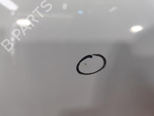 Left front door CITROËN BERLINGO MULTISPACE (B9) 1.6 HDi 90 | BP29054567C2 
