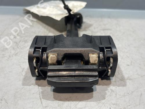 hingedoor-check-strap-citroen-c4-i-lc_-2004-2005-2006-2007-2008-2009-2010-2011-2012-2013-2014-29833942 main image