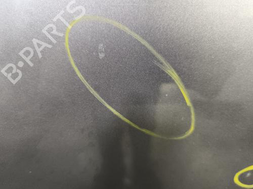 Right rear door RENAULT SCÉNIC III (JZ0/1_) 1.5 dCi | BP29869057C5 