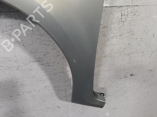 Left front fenders RENAULT MODUS / GRAND MODUS (F/JP0_) 1.4 (JP01, JP0J) | BP29980484C41