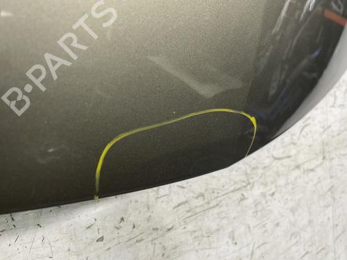 Hood RENAULT CLIO III (BR0/1, CR0/1) 1.5 dCi | BP25758095C1 