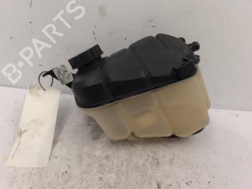 Used Expansion tank LAND ROVER RANGE ROVER EVOQUE (L538) 2.2 D 4x4 (150 hp) 25602989