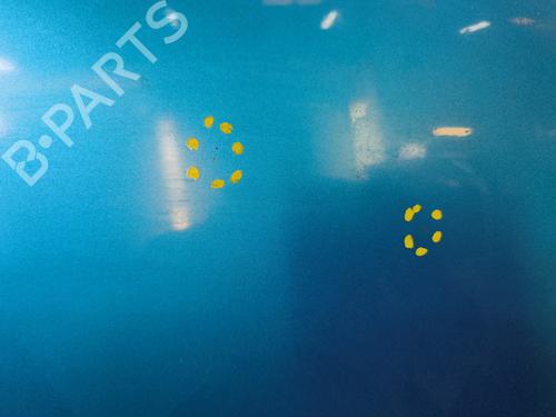 hood-citroen-c3-ii-sc_-2009-33198594 main image