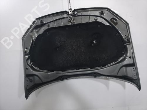 Used Hood Hood VW POLO V (6R1, 6C1) 1.6 TDI (90 hp) 40515993 40515993