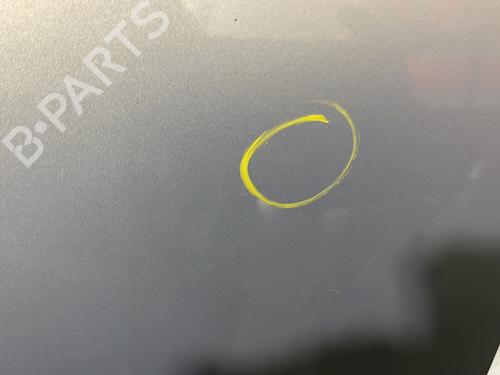 Left front door FORD FIESTA VI (CB1, CCN) 1.25 | BP22843862C2 