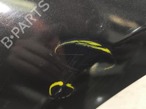 Right front fenders RENAULT CLIO III (BR0/1, CR0/1) 1.2 16V (BR02, BR0J, BR11, CR02, CR0J, CR11) | BP29869199C42