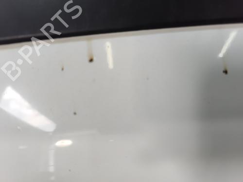 Hood FORD TRANSIT CONNECT (P65_, P70_, P80_) 1.8 TDCi | BP27631676C1