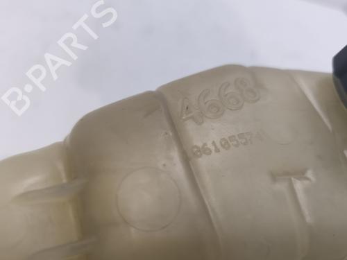 Expansion tank RENAULT CLIO III (BR0/1, CR0/1) 1.2 16V (BR02, BR0J, BR11, CR02, CR0J, CR11) | BP26148303C120 