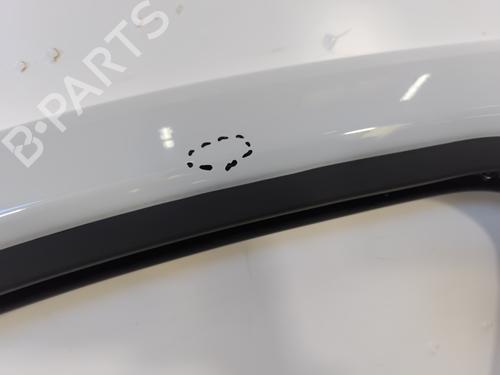Left front door RENAULT TRAFIC III Van (FG_) 1.6 dCi 140 (FGMA, FGMC) | BP29439148C2 