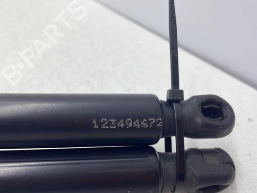 Used Tailgate lift support Tailgate lift support BMW X1 (E84) sDrive 18 d (143 hp) 33613430 33613430