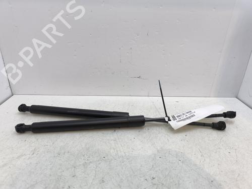 Used Tailgate lift support RENAULT ZOE (BFM_) ZOE (BFMC, BFMD) (136 hp) 30326898