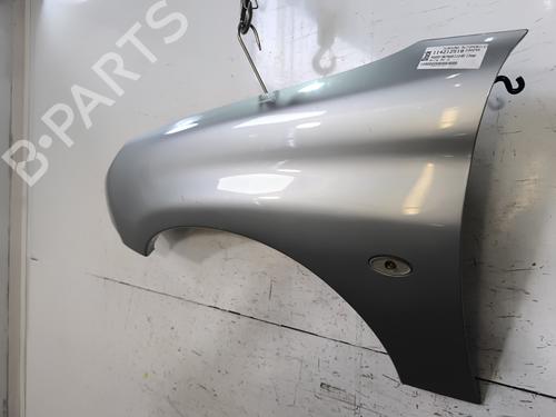 Left front fenders PEUGEOT 206 Hatchback (2A/C) 2.0 HDI 90 | BP30114291C41