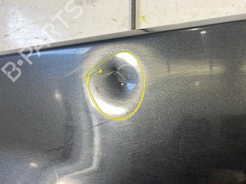 Left front fenders LAND ROVER RANGE ROVER II (P38A) 2.5 D 4x4 | BP24664184C41 