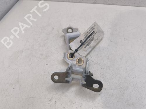 Hinge/Door check strap RENAULT CAPTUR II (HF_)  | BP27665110C146 