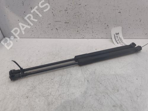 Tailgate lift support RENAULT KADJAR (HA_, HL_) 1.6 dCi 130 (HLA4) | BP28064994C138 