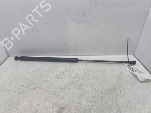 Gasfjeder motorhjelm DACIA SANDERO II 1.0 SCe 75 (B8JC, B8JD, B8NC) (73 hp) 30601284