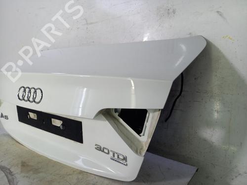 Used Tailgate Tailgate AUDI A5 (8T3) 3.0 TDI quattro (240 hp) 22842693 22842693